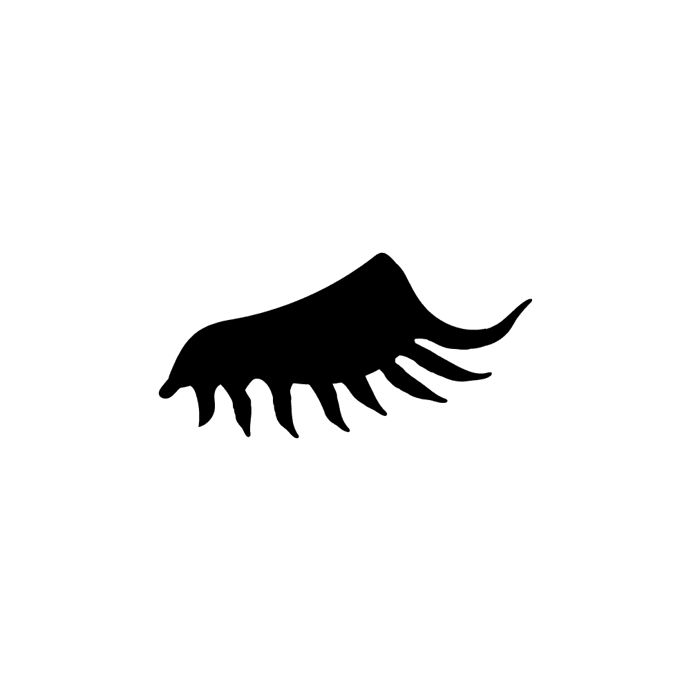 Lashes symbol