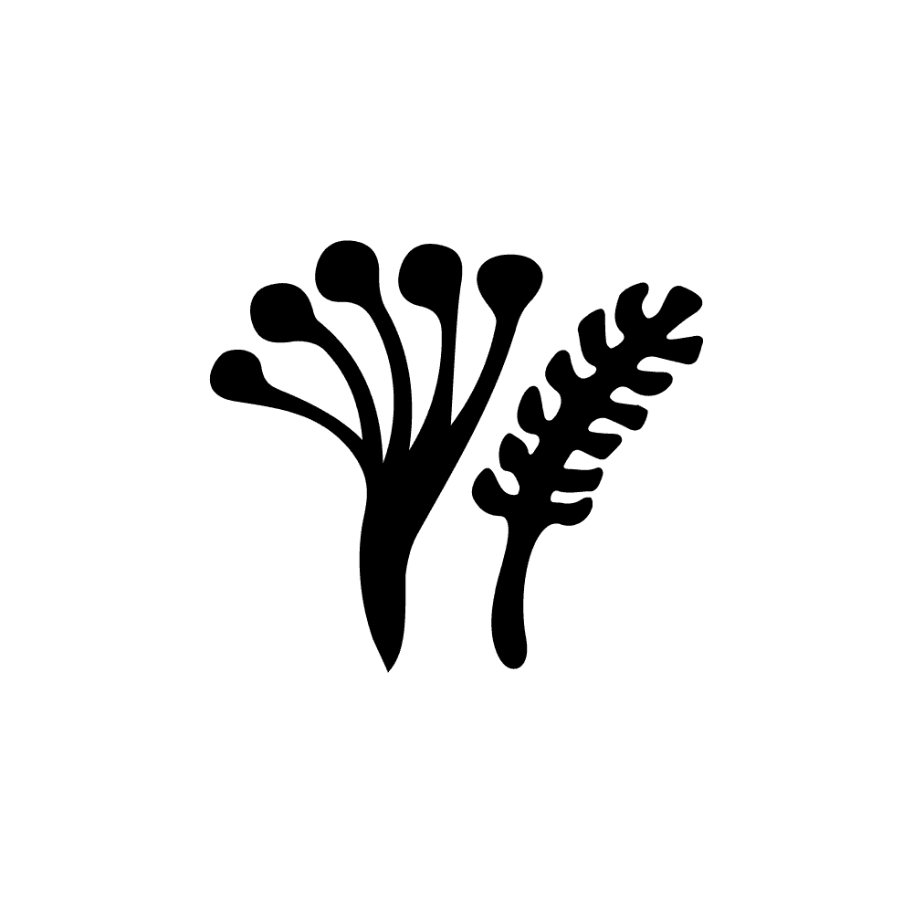 Plants symbol