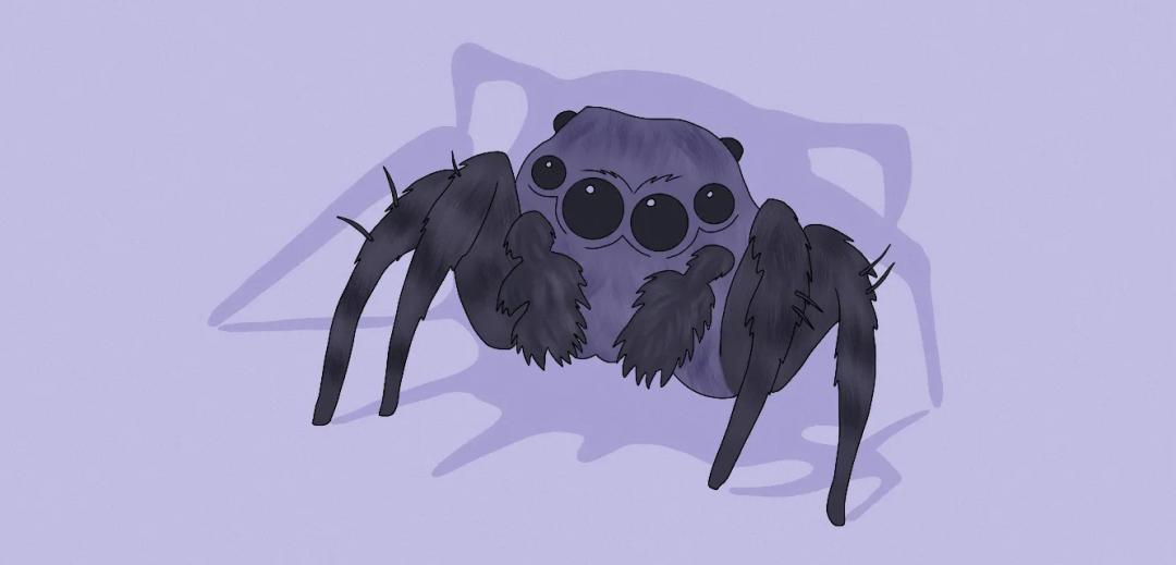 Spiritual Meaning of Spiders in Dreams